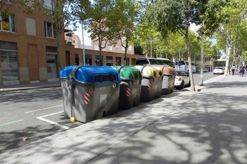 Побелка деревьев запрещена. Белить или не белить