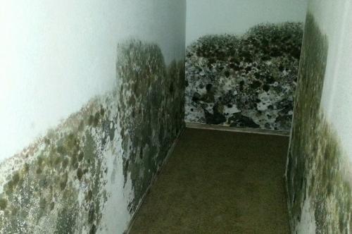 Как устранить влажность в частном доме. Как избавиться от влажности в квартире или доме: приборы и методы