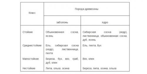 Каким лаком покрыть деревянную лестницу в доме. Лак для лестниц деревянных: обзор выпускаемых составов, советы по обработке поверхности