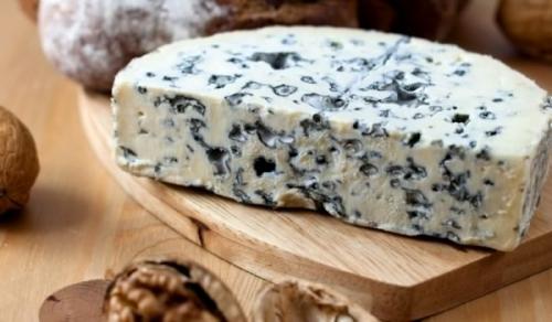 Плесень в подвале деревянного дома, как избавиться. Грибок в подвале частного дома: как избавиться от упрямой плесени?