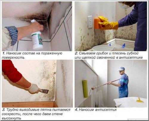 Плесень под обоями, как избавиться в домашних условиях. Плесень под обоями, как избавиться