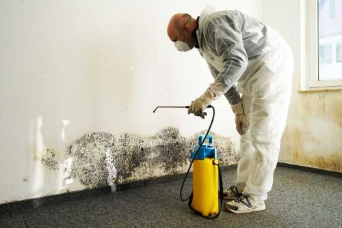 Плесень под обоями, как избавиться в домашних условиях. Плесень под обоями, как избавиться