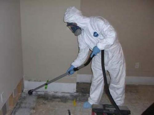 Как удалить грибок и плесень на стенах навсегда самостоятельно. Средства (современные и народные), призванные удалить грибок со стен