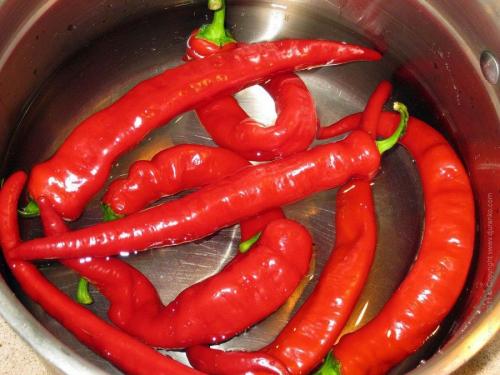 Перец сладкий и горький на зиму рецепты. Маринованный горький перец на зиму – рецепты приготовления