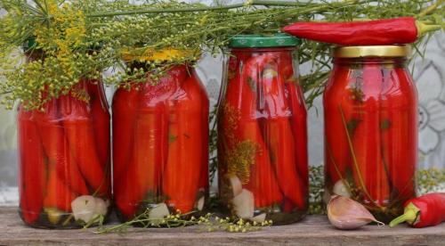 Перец сладкий и горький на зиму рецепты. Маринованный горький перец на зиму – рецепты приготовления