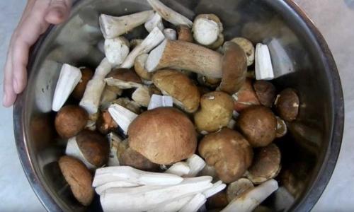 Самые вкусные маринованные белые грибы. Маринованные белые грибы на зиму, рецепты в банках без стерилизации