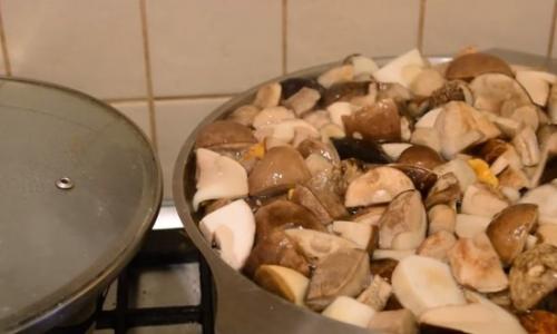 Маринованные белые грибы без стерилизации. Маринованные белые грибы на зиму в банках — простые рецепты приготовления самых вкусных заготовок