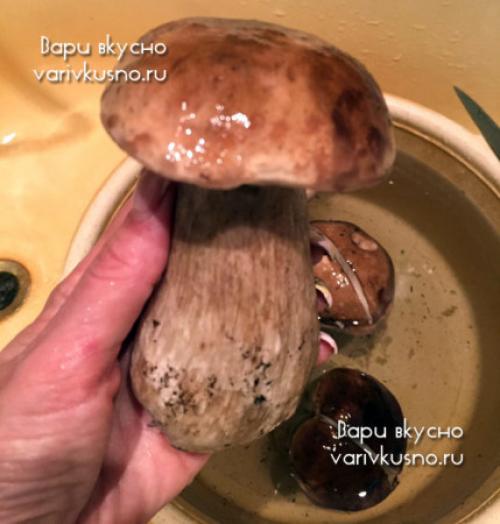Маринованные белые грибы быстрого приготовления рецепт. 