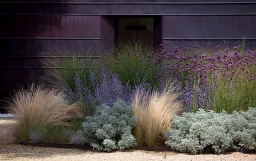 Красивые растения для ландшафтного дизайна. Применение в ландшафтном дизайне