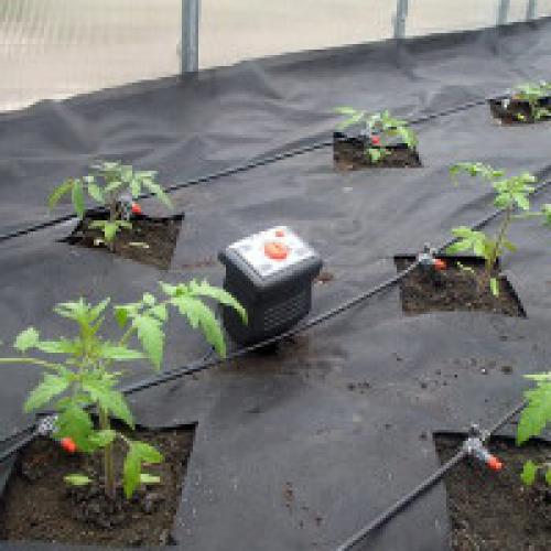 Как самому сделать капельный полив на даче. Система капельного полива своими руками