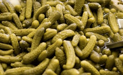 Корнишоны соленые на зиму. Рецепты засолки огурцов на зиму