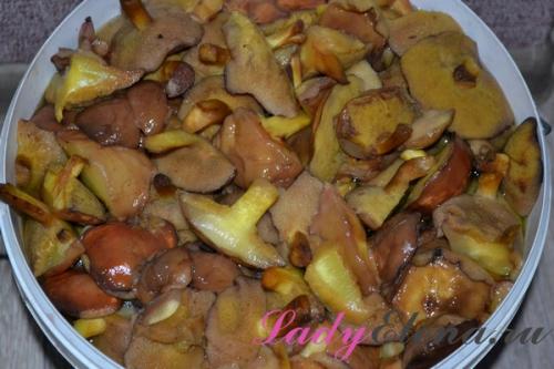 Как законсервировать на зиму грибы. Грибы маслята на зиму в банках — пошаговый фото рецепт