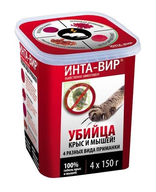 Как защитить дом от мышей.  Грызуны – вечные спутники человека 02