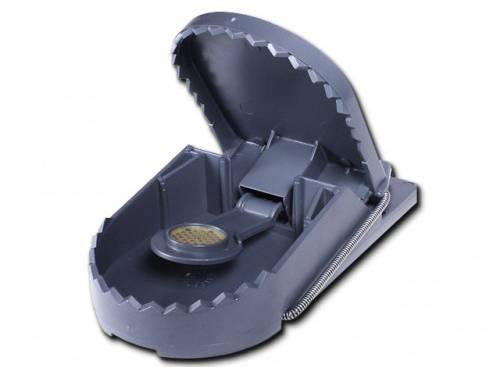 Как защитить дом от мышей.  Грызуны – вечные спутники человека 01