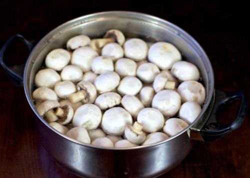 Простой рецепт маринования грибов. Классический рецепт маринованных шампиньонов