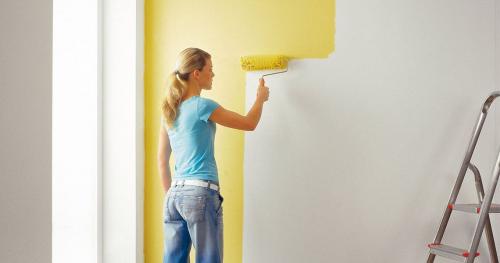 Как покрасить стены водоэмульсионной краской без разводов. Выбор валика для стен