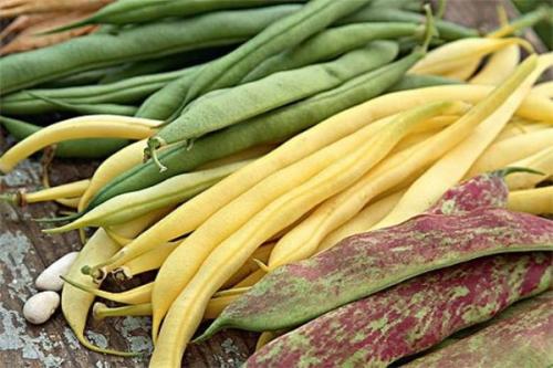 Шелуха фасоли. Польза и вред створок фасоли, применение и противопоказания