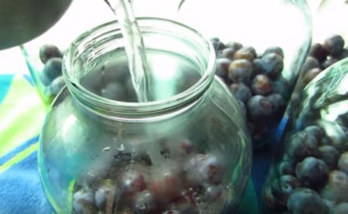 Как закрутить сливы на зиму целиком в 3-х литровую банку. Компот из слив на зиму — рецепт на 3 литровую банку