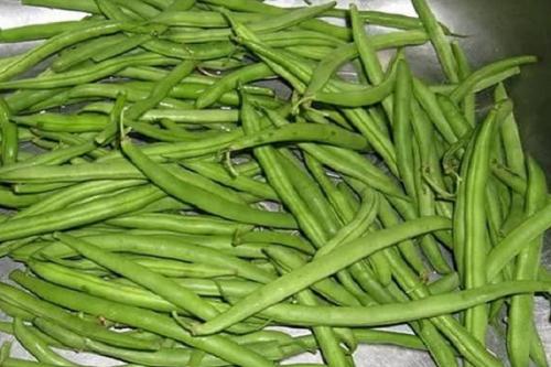 Шелуха фасоли. Польза и вред створок фасоли, применение и противопоказания