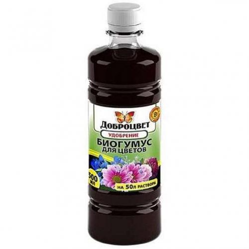 Уход и посадка за антуриумом в домашних условиях. Как ухаживать за антуриумом в домашних условиях после покупки