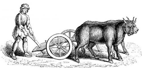 Мыны трактора. Российский минитрактор за 50 тысяч рублей