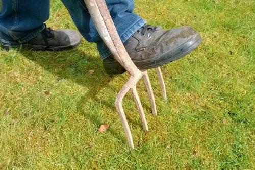 Что такое аэрация газона. Порядок проведения процедуры