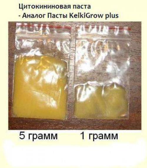 Цитокининовая паста для цветения и размножения орхидей. Размножение орхидеи