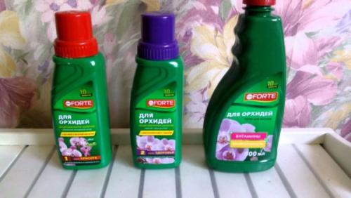 Не цветет орхидея, что делать. Почему не цветут орхидеи?