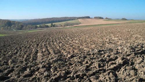 Какие удобрения лучше органические или минеральные. Органика или минералка, что выбрать: плюсы и минусы удобрений