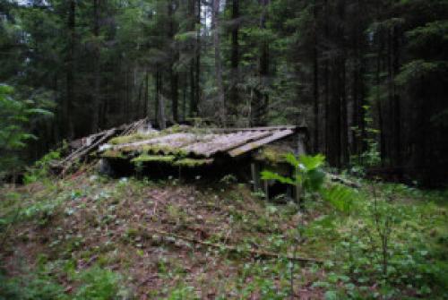 Как в тайге построить землянку. Строительство землянки. Как построить землянку?