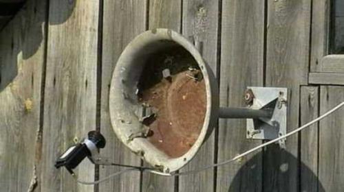 Телевизионная спутниковая антенна для дачи, какая лучше. Цифровая антенна или какую антенну выбрать для дачи