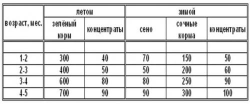 Кролики породы рекс декоративные. Особенности породы кроликов Рекс