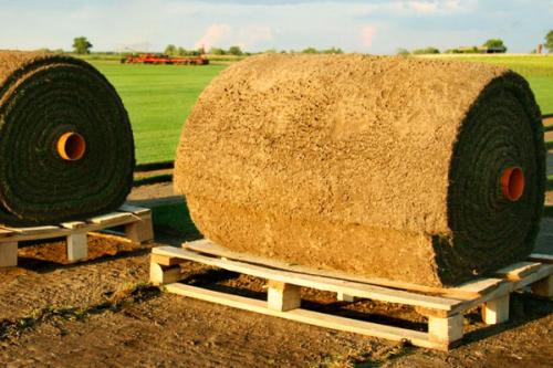 Что такое рулонный газон?