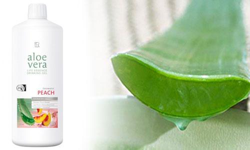 При каких проблемах помогает прием гелей алоэ вера?