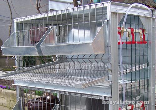 Клетки для кур с яйцесборником. Клетка из метала и оцинкованной жести