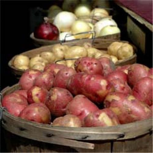 Ящики для хранения овощей на балконе зимой своими руками. Овощехранилище на балконе своими руками – удобный и бюджетный вариант зимнего хранения.