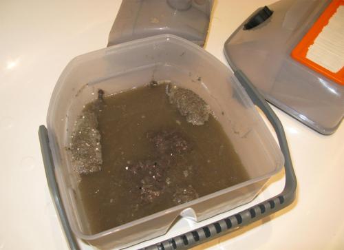 Какой пылесос выбрать с мешком или контейнером. Простота и практичность использования