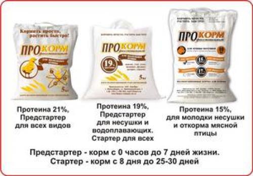 Суточная норма комбикорма для кур-несушек. Сколько корма нужно курице несушке в день, нормы употребления?