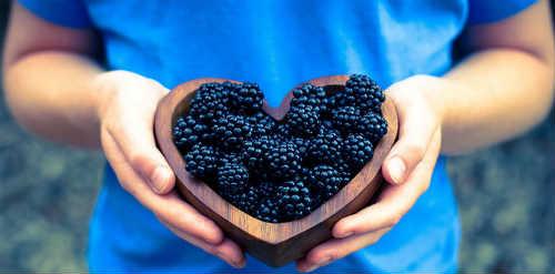 Где растет ежевика в лесу. Лесная ежевика — ягода цвета ночи