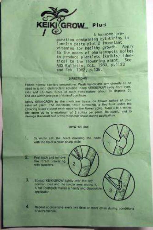 Цитокининовая паста применение на орхидеях для корней. Размножение орхидеи: чудеса цитокининовой пасты