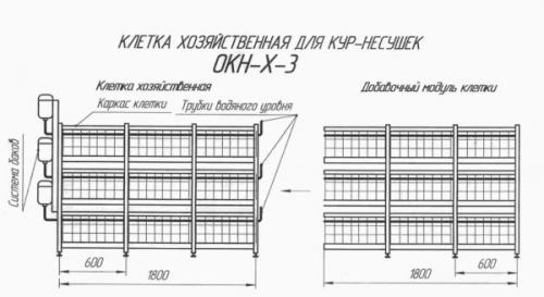 Клетка для кур-несушек своими руками. Сборка по чертежам и размерам