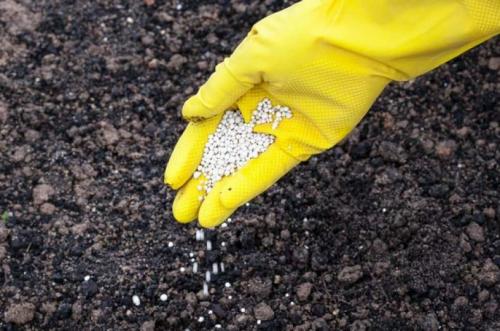 Как бороться с гадюками. Отпугивание