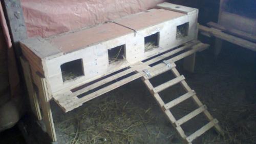 Сколько гнезд Нужно для 20 кур. Гнездо-будка