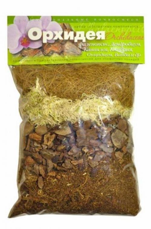 Орхидея наращивает листья и не цветет. 