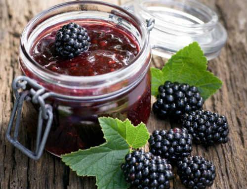 Где растет ежевика в лесу. Лесная ежевика — ягода цвета ночи