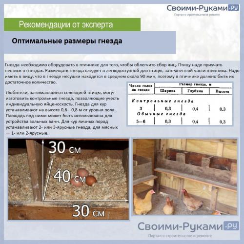 Сколько гнезд Нужно для 20 кур. Гнездо-будка