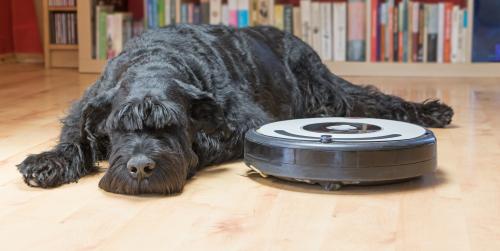 Как правильно выбрать робот-пылесос для квартиры. Почему именно робот-пылесос?