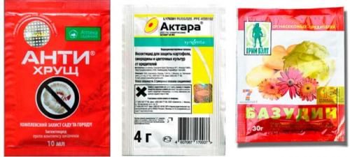 Йод от личинок майского жука. Как избавиться от личинок майского жука на клубнике