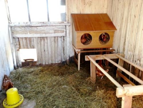 Гнёзда для кур-несушек. Гнезда для кур