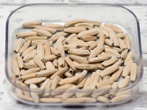 Адениум из семян. Выращивание из семян (правила посева)